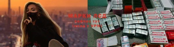 бошки Касимов