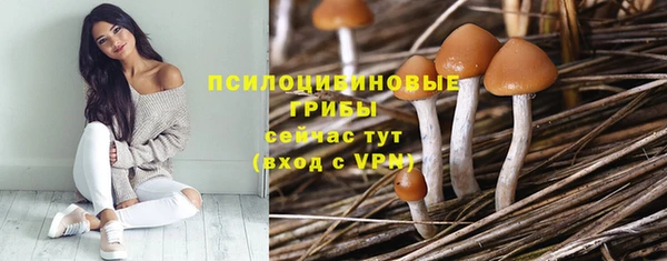 кокс Карпинск