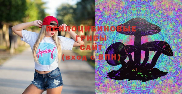 кокс Карпинск