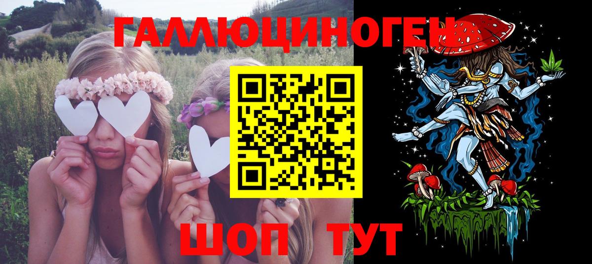 Галлюциногенные грибы Psilocybe  Вход с VPN  Янаул 